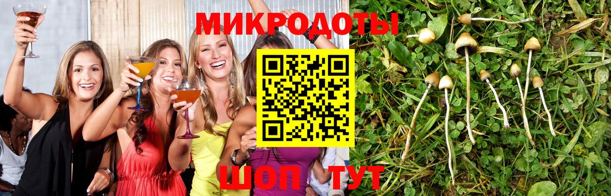 Галлюциногенные грибы Magic Shrooms Сыктывкар
