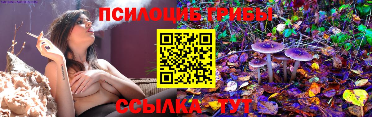Псилоцибиновые грибы мухоморы  Вход с VPN  Сыктывкар 